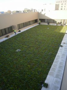 Garden Roof System